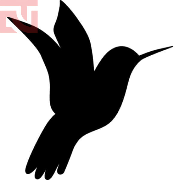 Google Hummingbird - Có biểu tượng là con chim ruồi