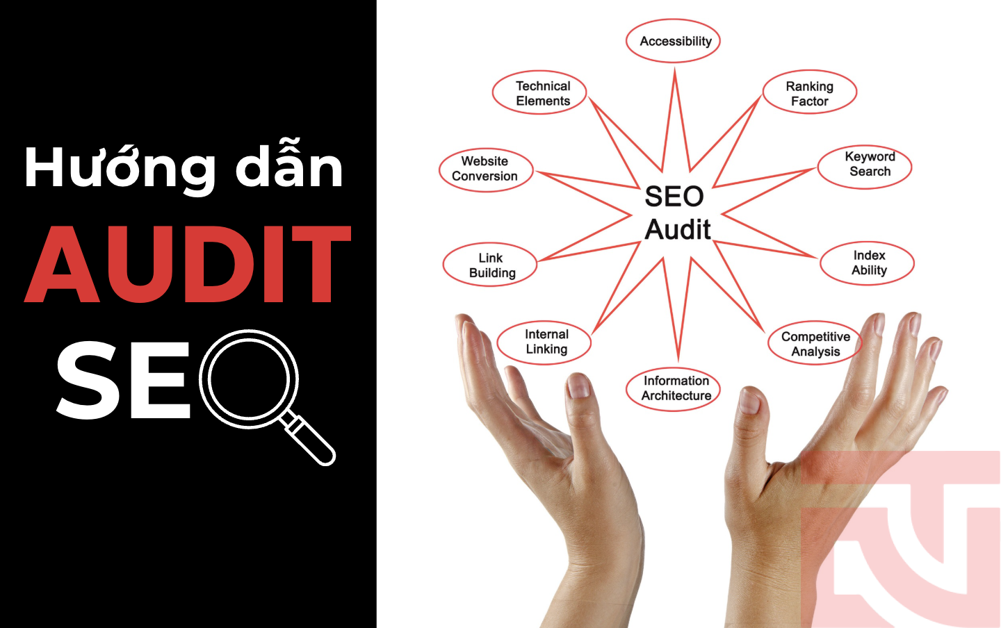 Hướng dẫn Audit SEO Hướng dẫn Audit SEO