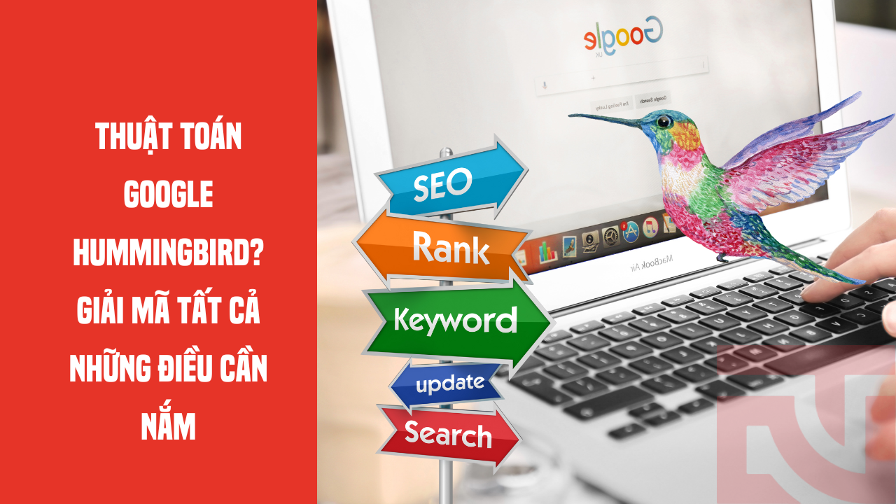 google hummingbird