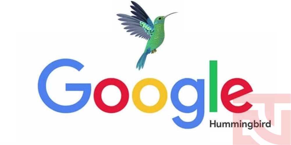 google hummingbird