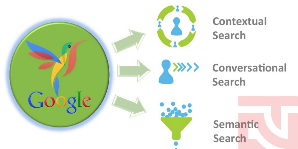 google hummingbird