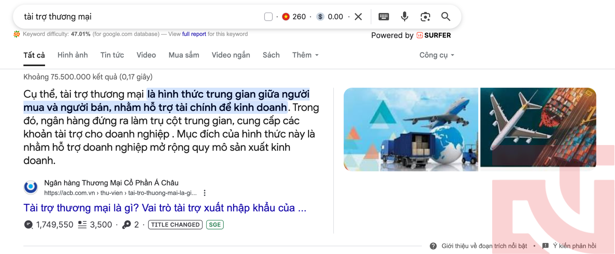 Traffic SEO