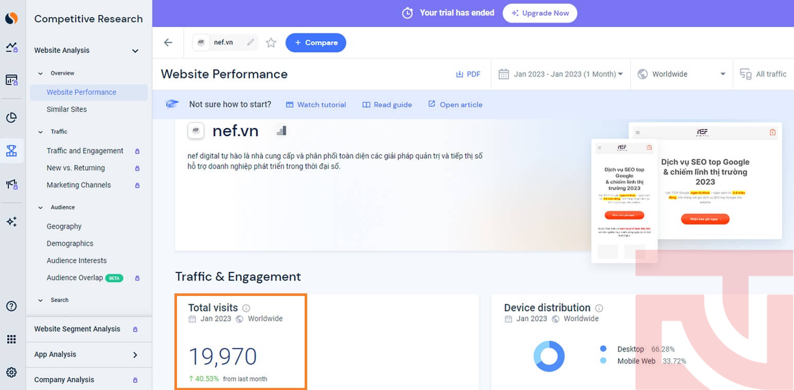 Traffic SEO