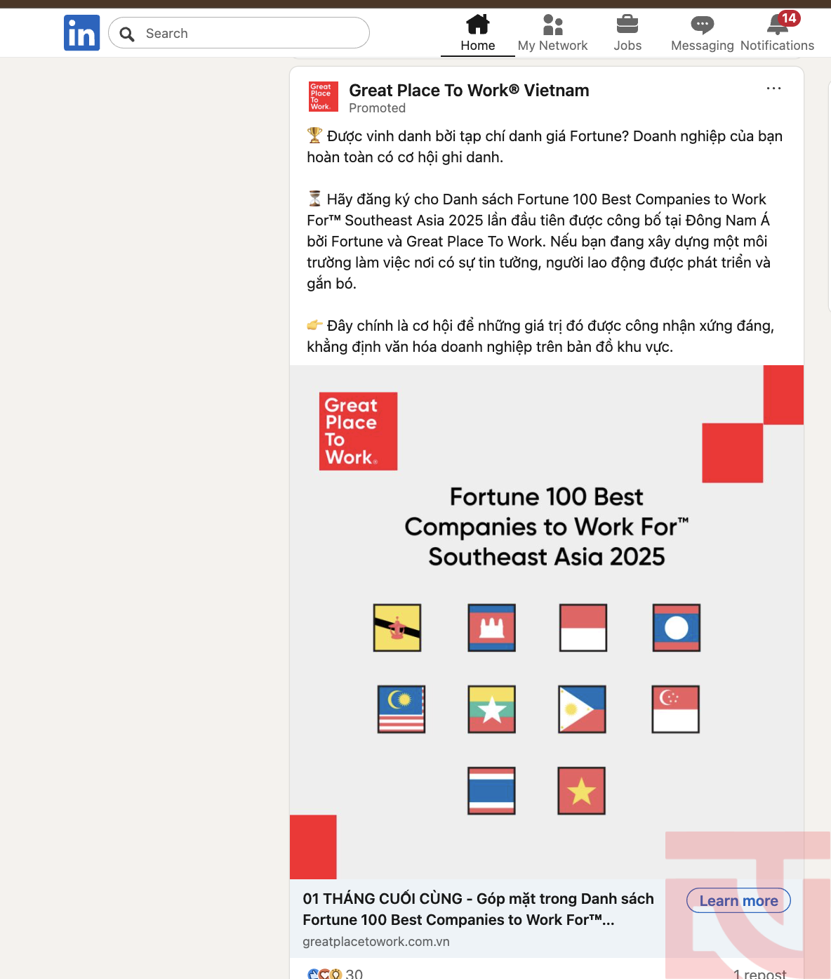 Traffic SEO