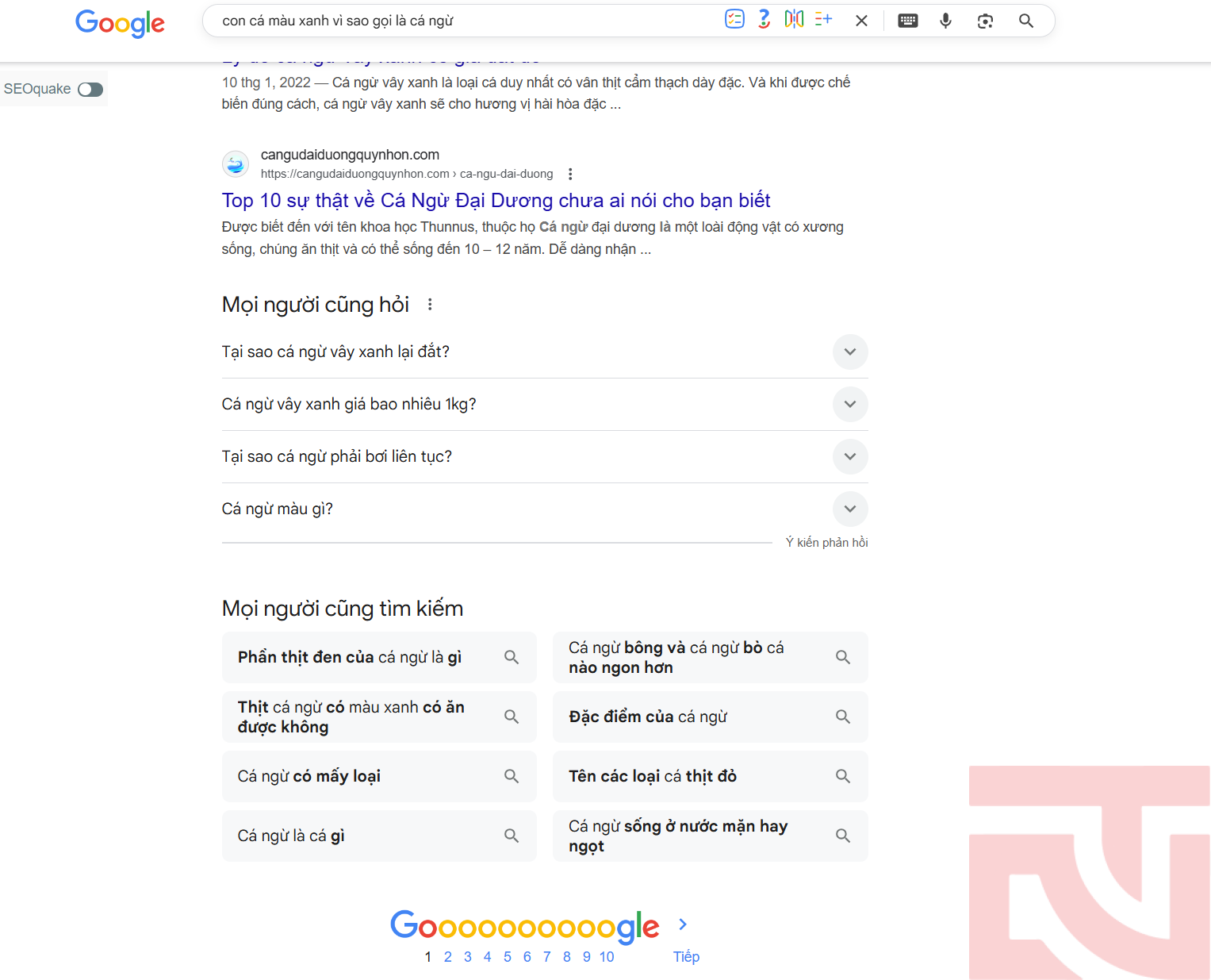 Voice Search Optimization